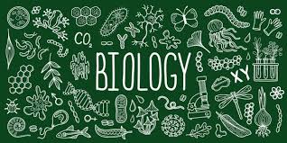 Biology course at Prime School